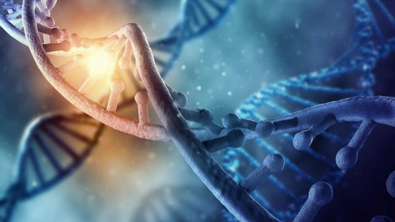 Close up of Genes