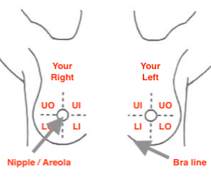 Picture showing a diagram of the breast in terms of radiology reports