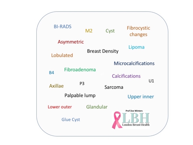 Breast imaging report with jargon